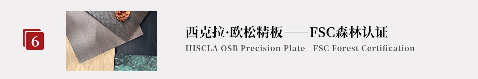 资料 6